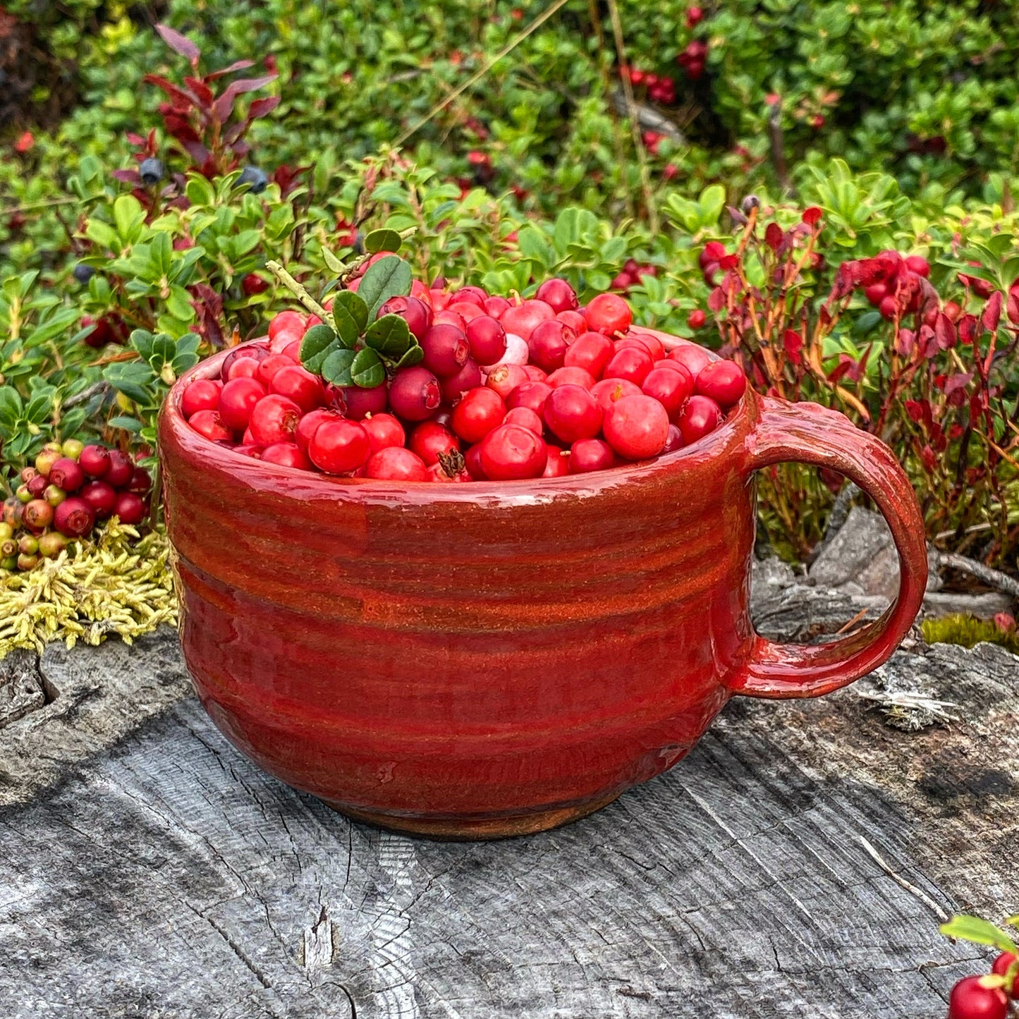 Berry red