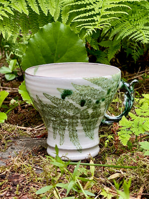 Fern